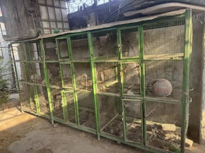 2 cages
