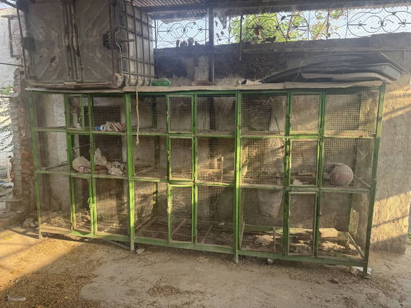 2 cages 1