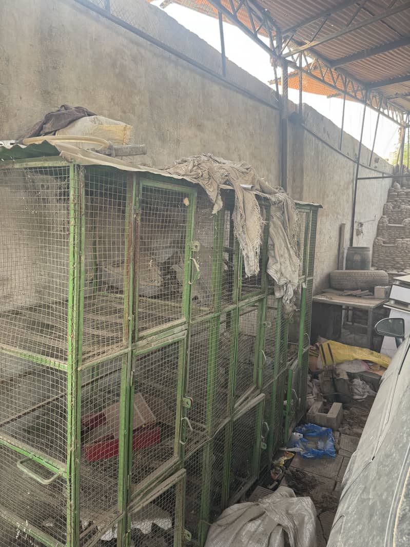 2 cages 2