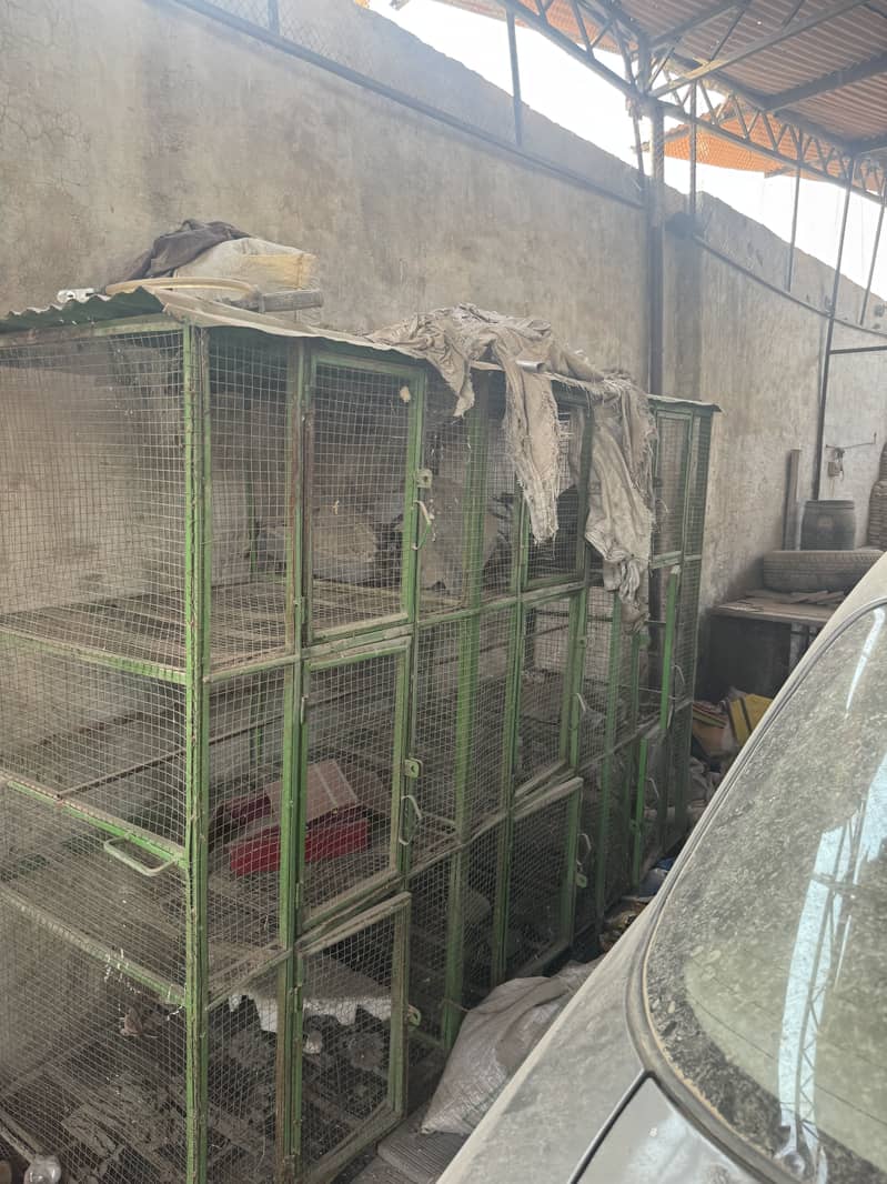 2 cages 3