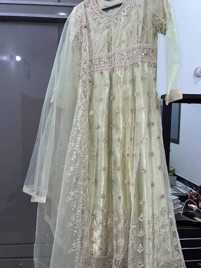 Light pistachio Green Maxi with Heavy Embroidery and Net Dipatta