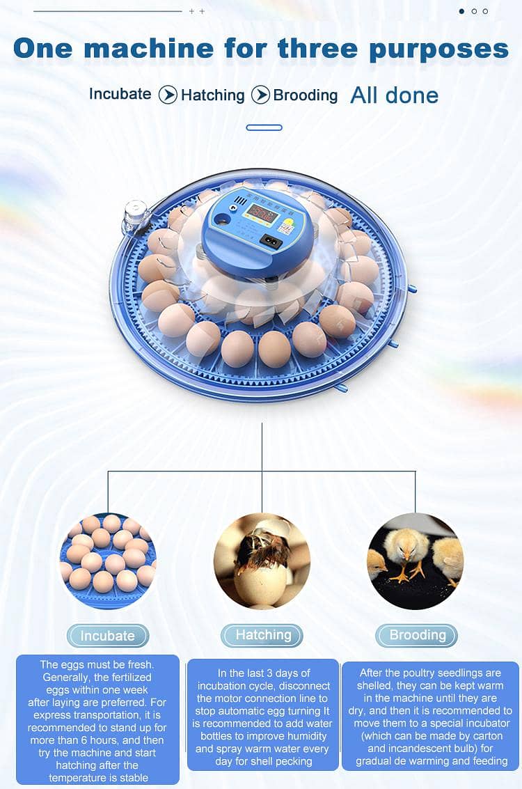incubator ac dc automatic 3