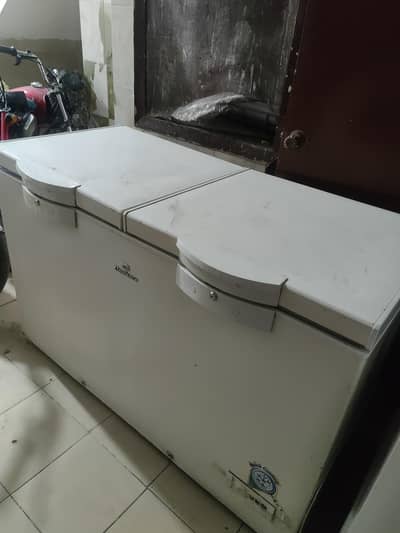 D freezer