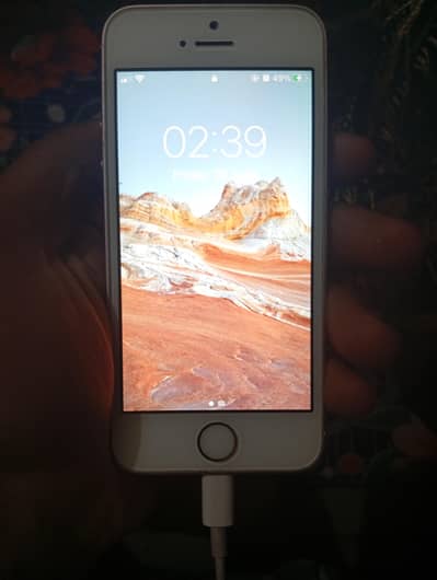 Apple iphone 5s