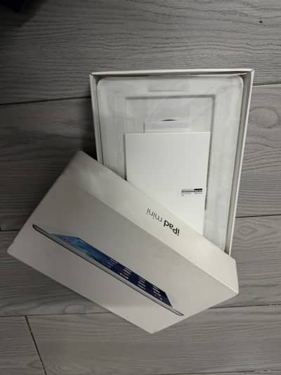 Ipad mini