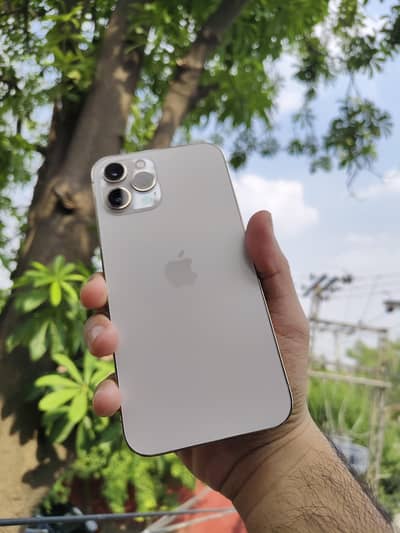 iPhone 12 Pro Max PTA Approved 256 GB