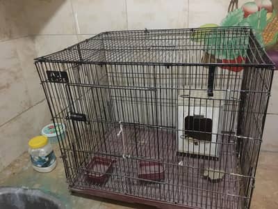 Love birds cage
