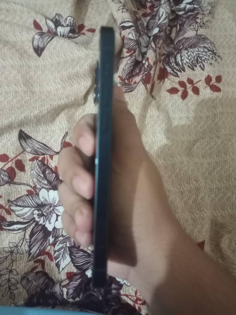 Apple iPhone 12 1