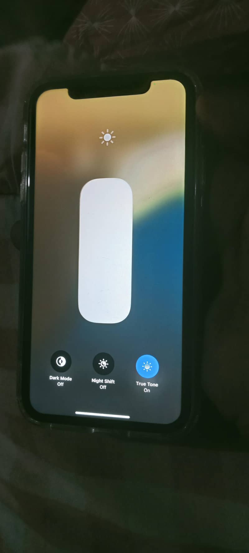 Apple iPhone 11 4