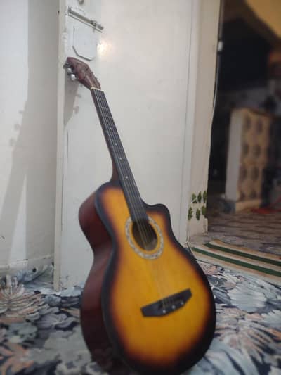 PROFESSIONAL ACOUSTIC GUITAR 10/9
