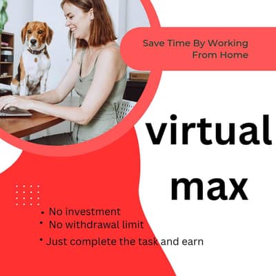 virtual max online work