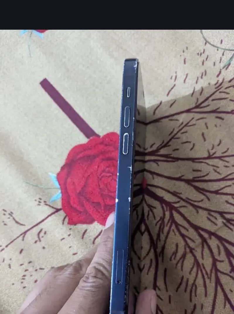 iPhone 12 1