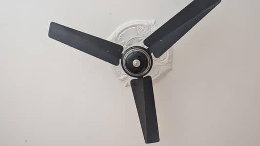 Indus fan 100% copper