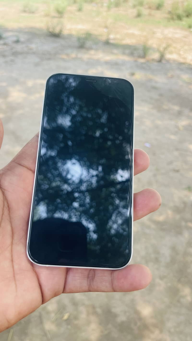 Apple iPhone 12 1