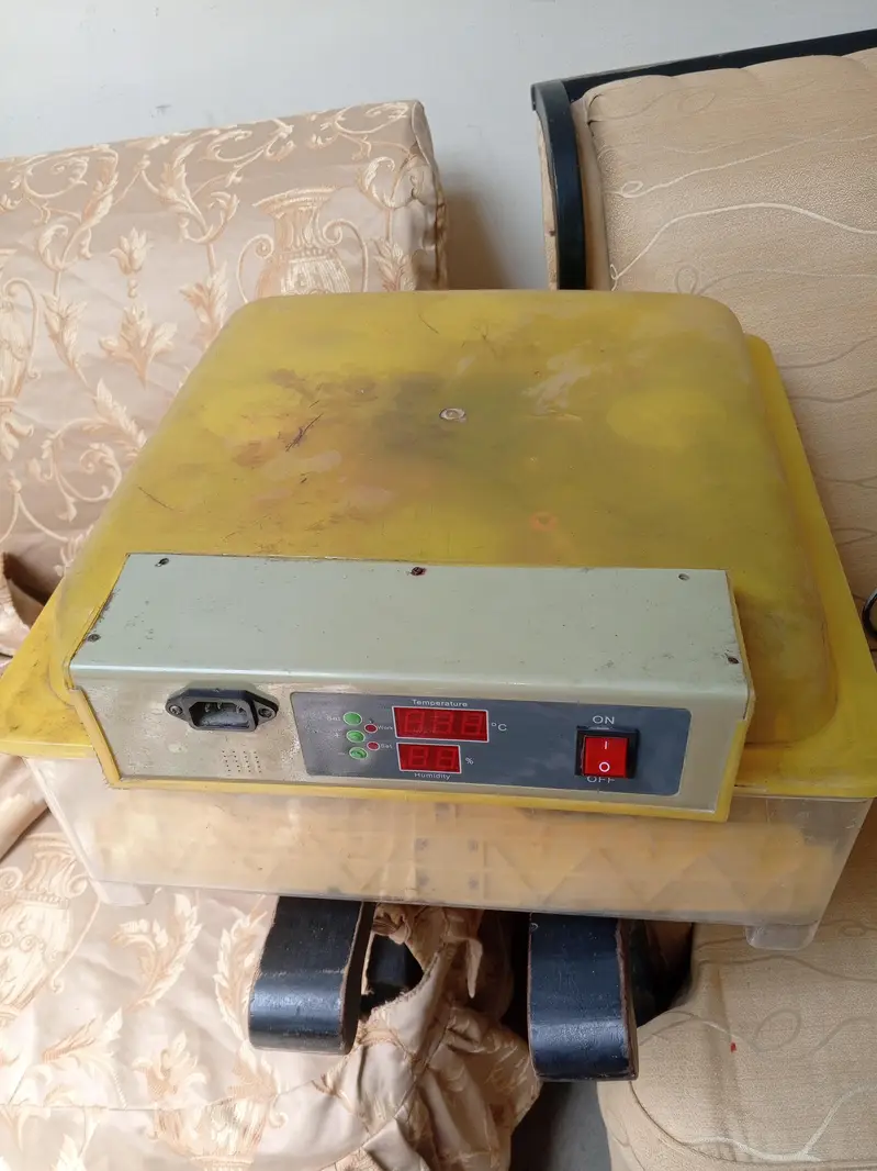 Imported Incubator — photo 2