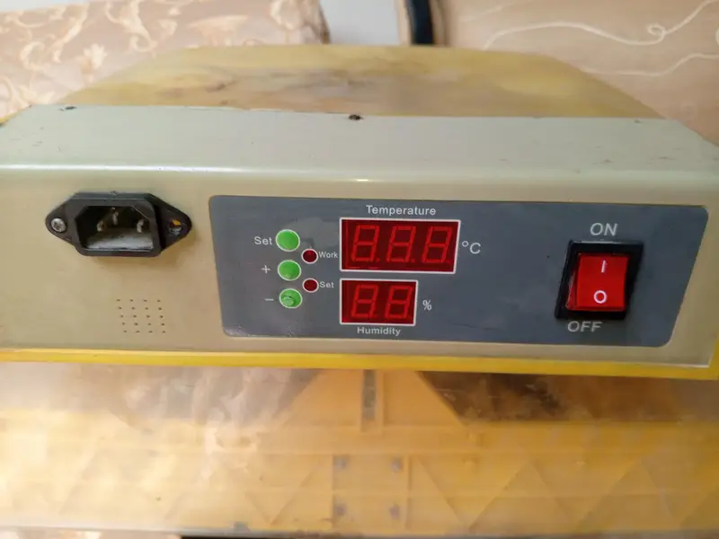 Imported Incubator — photo 4