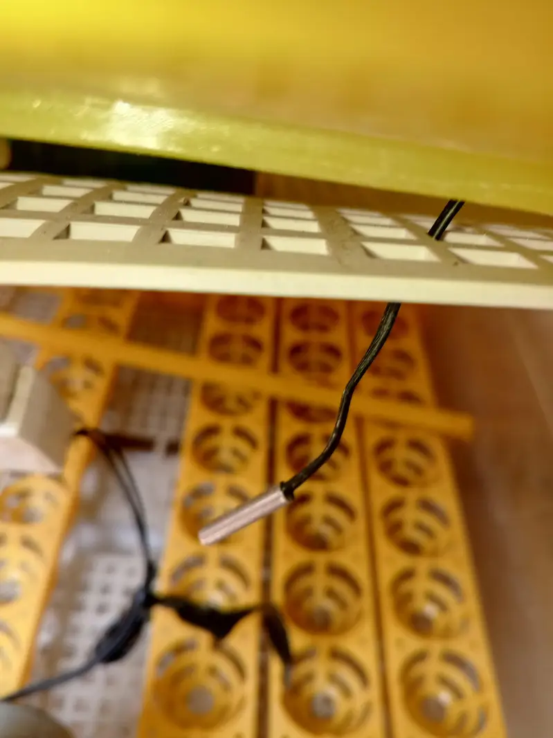 Imported Incubator — photo 6