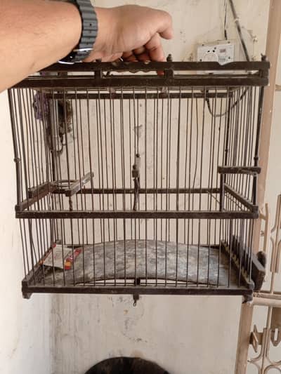 Canary Antique Cage