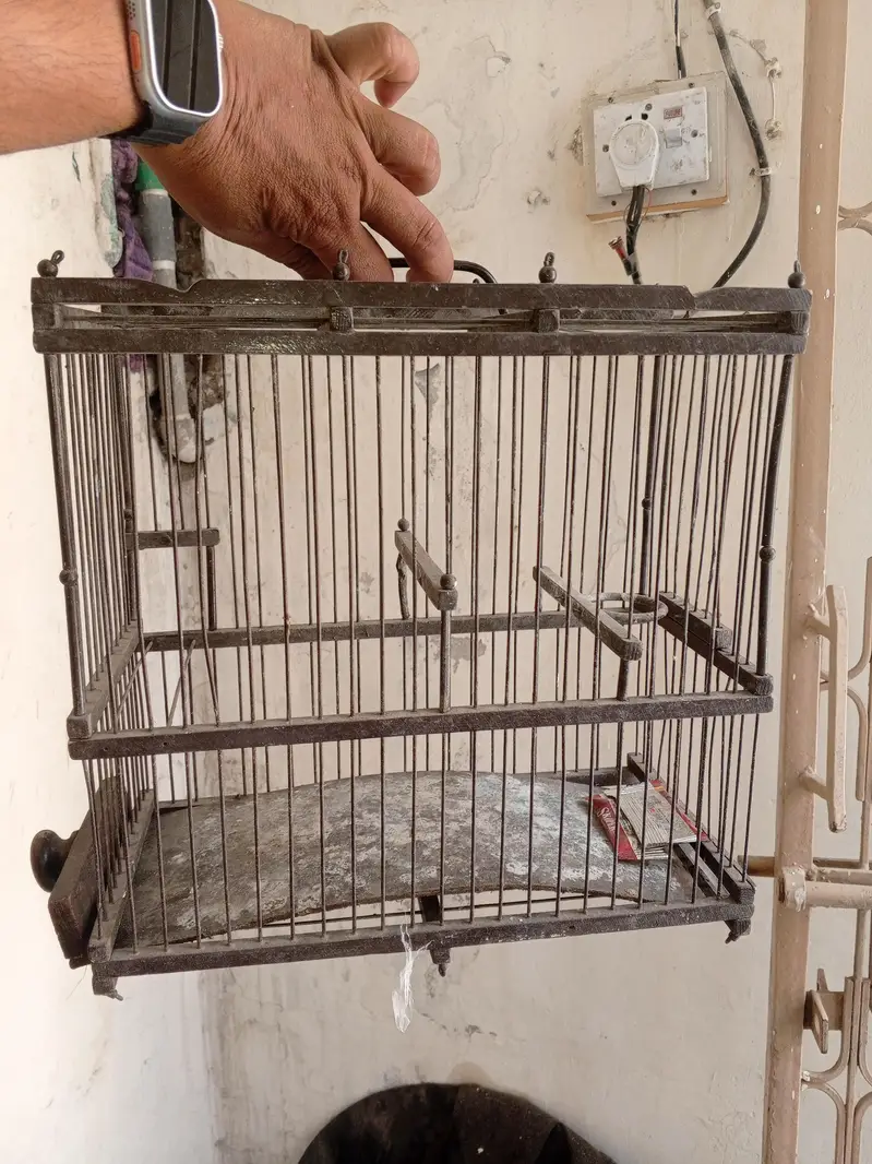 Canary Antique Cage — photo 2