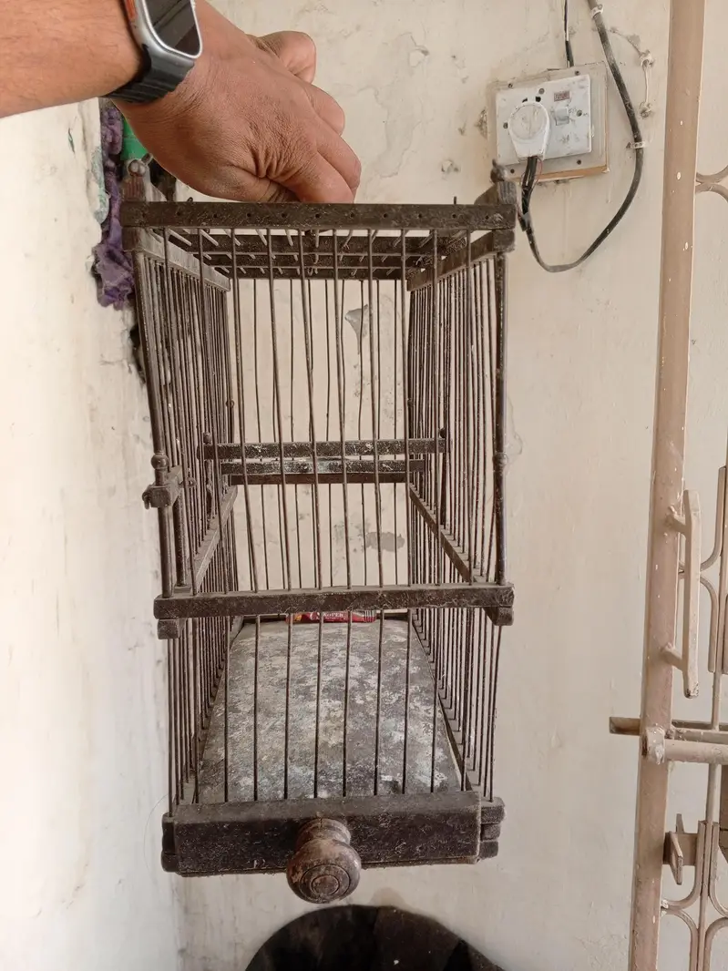Canary Antique Cage — photo 3