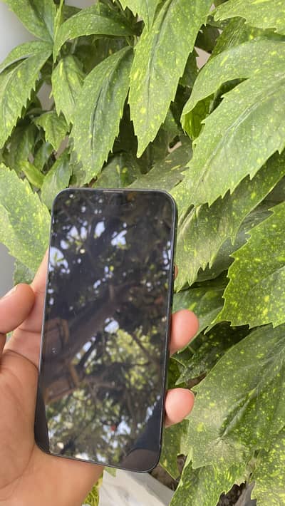 Apple iPhone 14