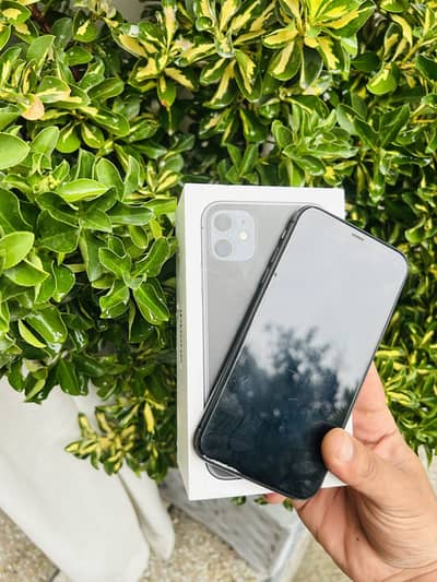 iphone 11 pta approved