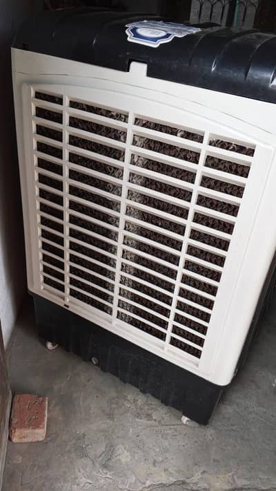 sir cooler medium size