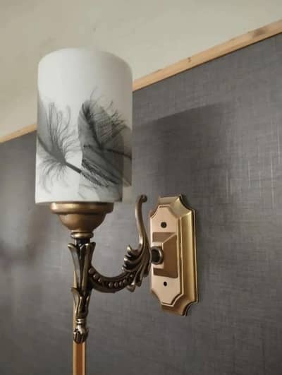 Modern Wall Lamp with Feather Design & LED Bulb