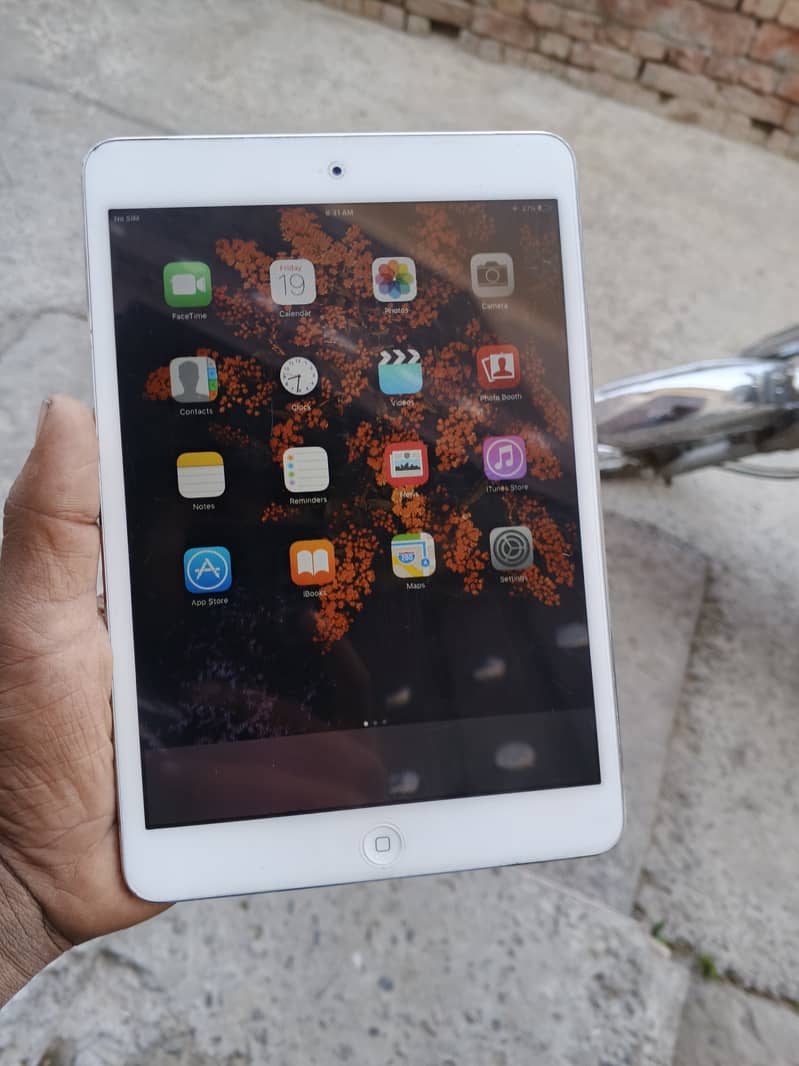 Ipad mini 4 0