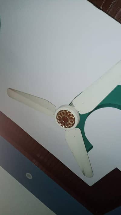 celling fans