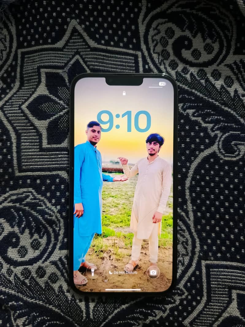 Apple iPhone 13 Pro Max 2