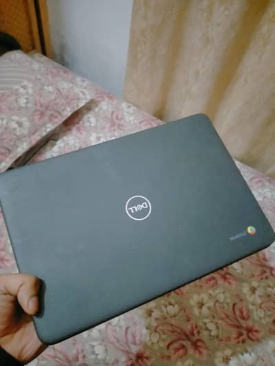 Dell 3100 Urgent sale