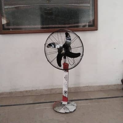 DC pedestal fan solar plates pr chany wala