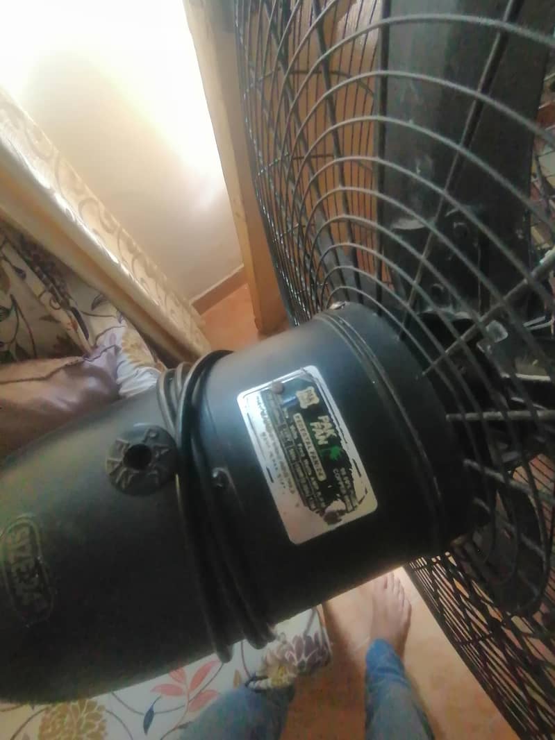 pakFan 1