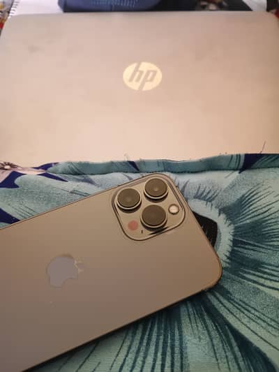 Apple iPhone 13 Pro Max Factory Unlock