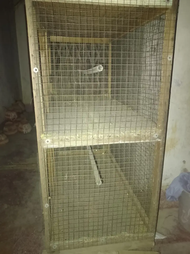 Cage for hens and Parrots — photo 4