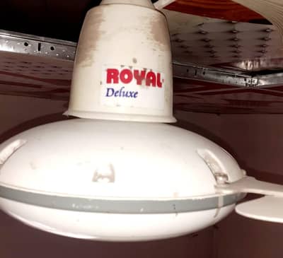 Royal Deluxe Fan