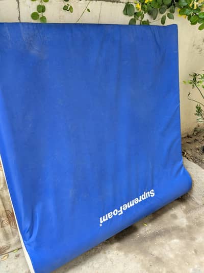 pet mattress