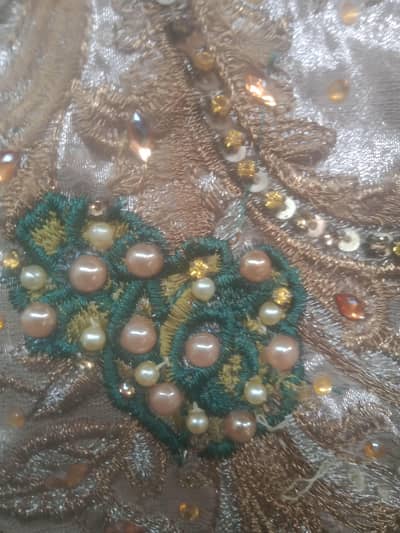 organza Suit