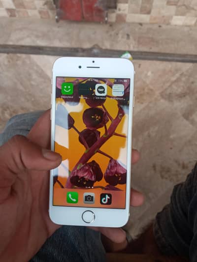 Apple iPhone 6