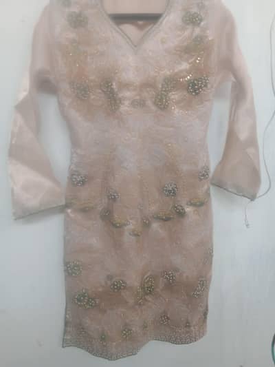 Organza Suit