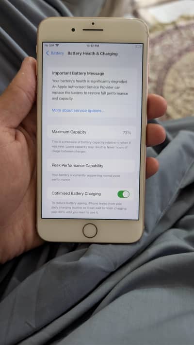 Apple iPhone 8 Plus 64Gb Back crack