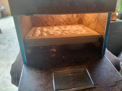 incubator
