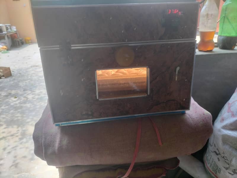 incubator 2