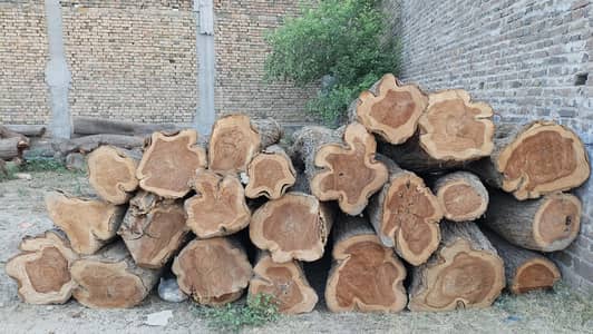 Pure Shesham Wood For Sale