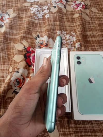 Apple iPhone 11
