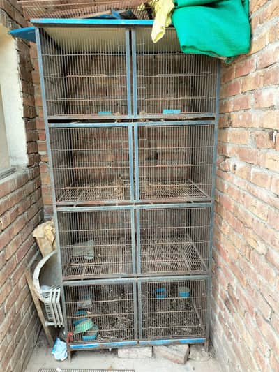 birds cage for sell