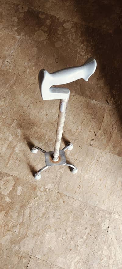 walking stick