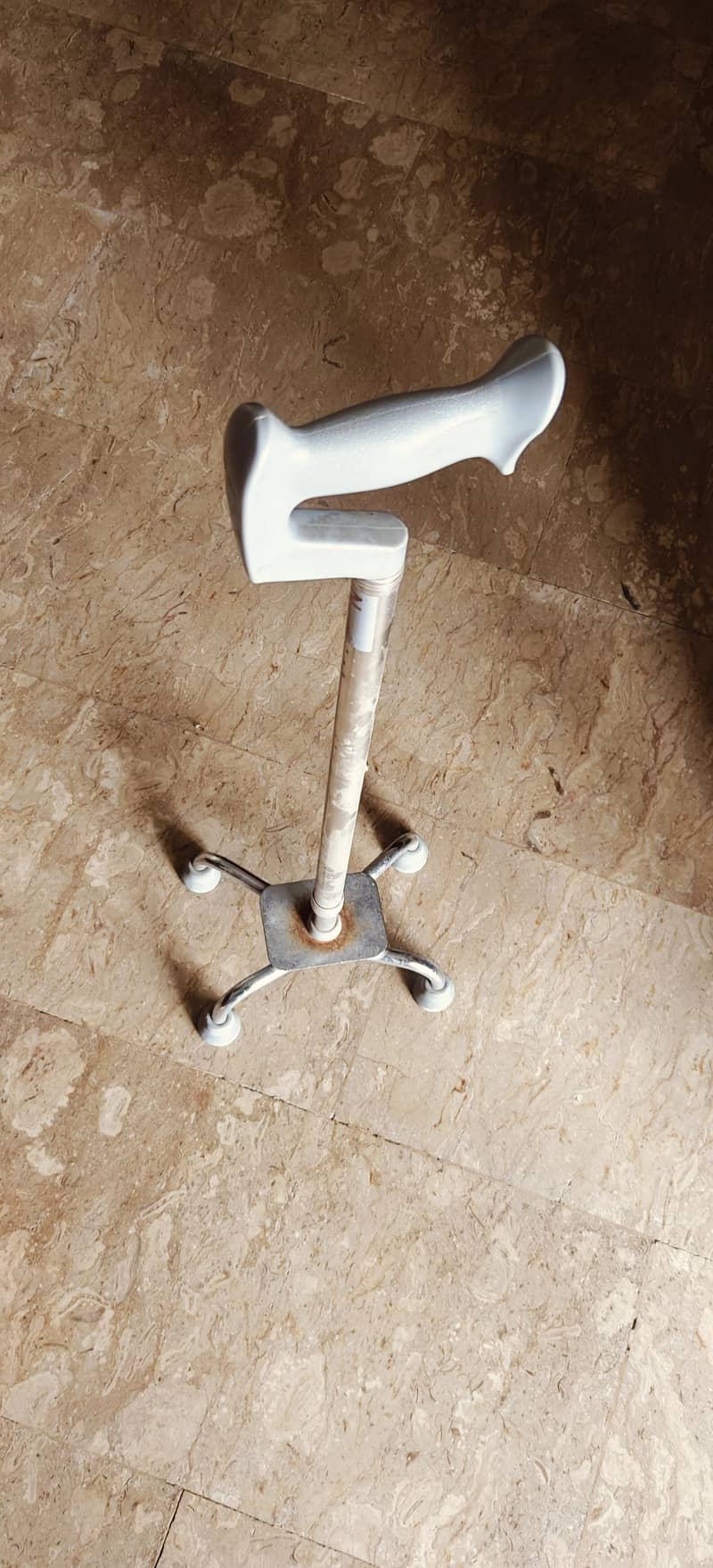 walking stick 0