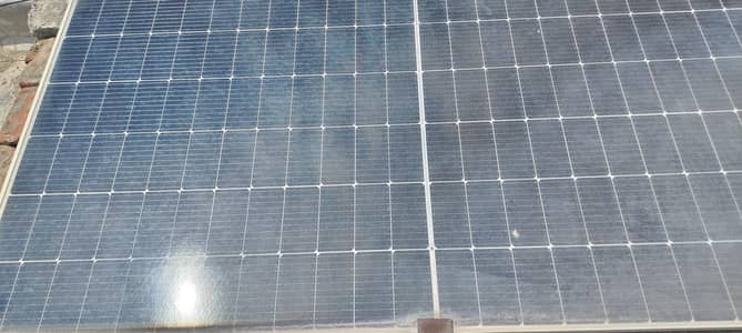 candian panel